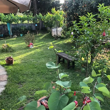 度假居 Talos House Rachoni (Thasos)