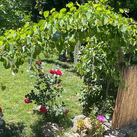 Talos House Case de vacanță *