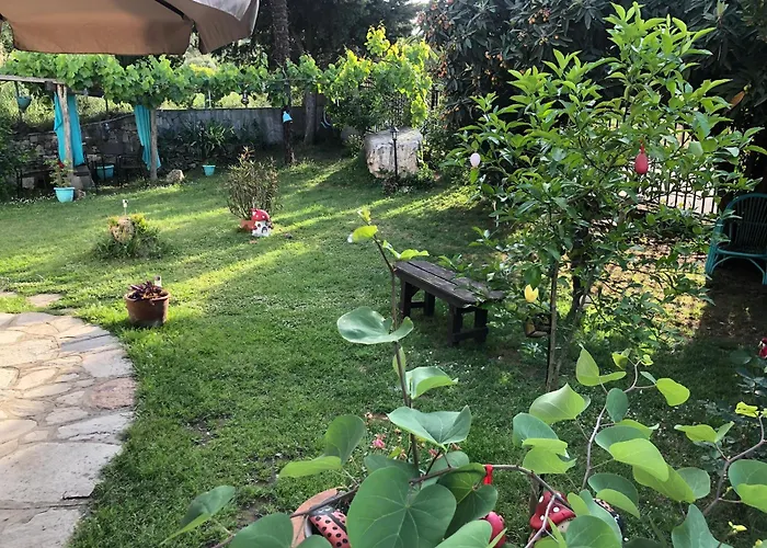 度假居 Talos House Rachoni (Thasos)